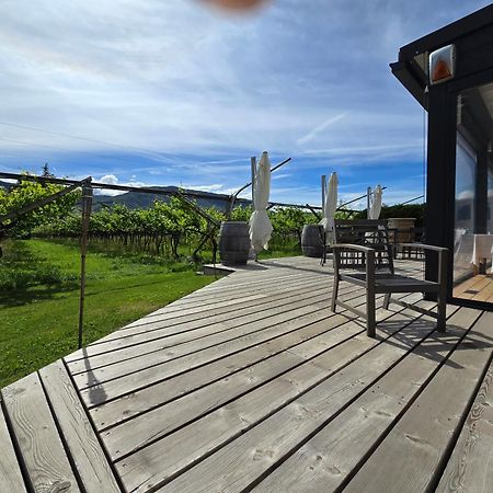 Antico Fienile Agritur Villa Mezzocorona Dış mekan fotoğraf