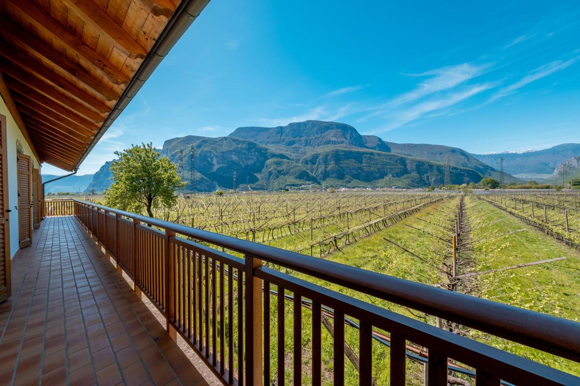 Antico Fienile Agritur Villa Mezzocorona Dış mekan fotoğraf