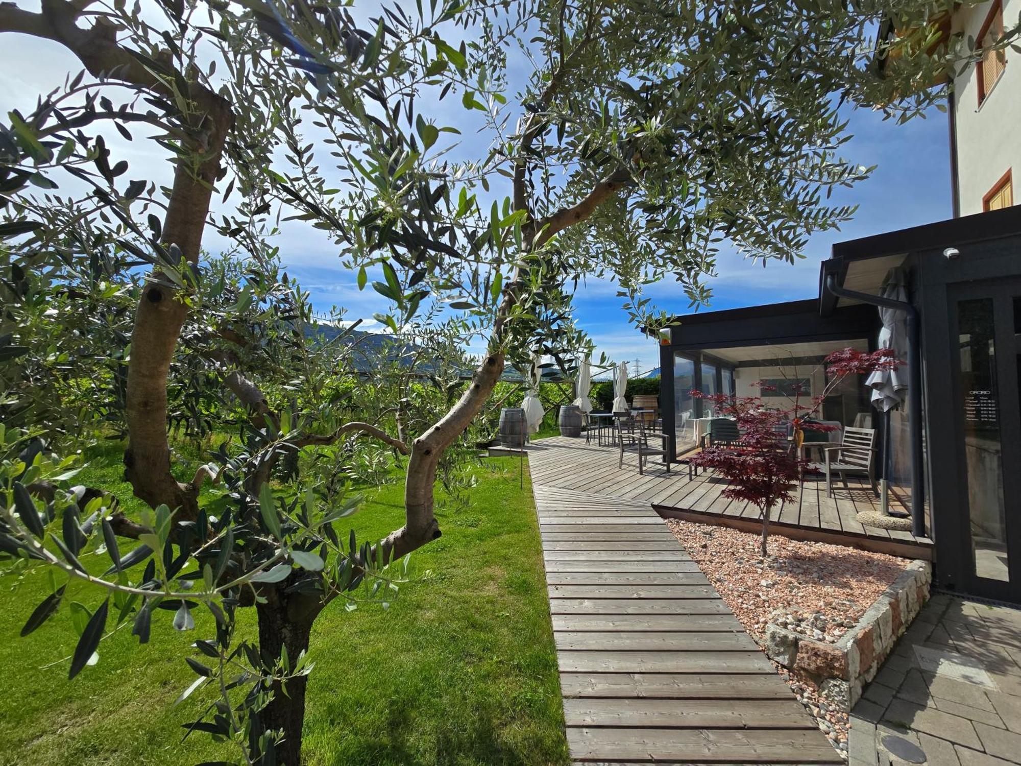Antico Fienile Agritur Villa Mezzocorona Dış mekan fotoğraf