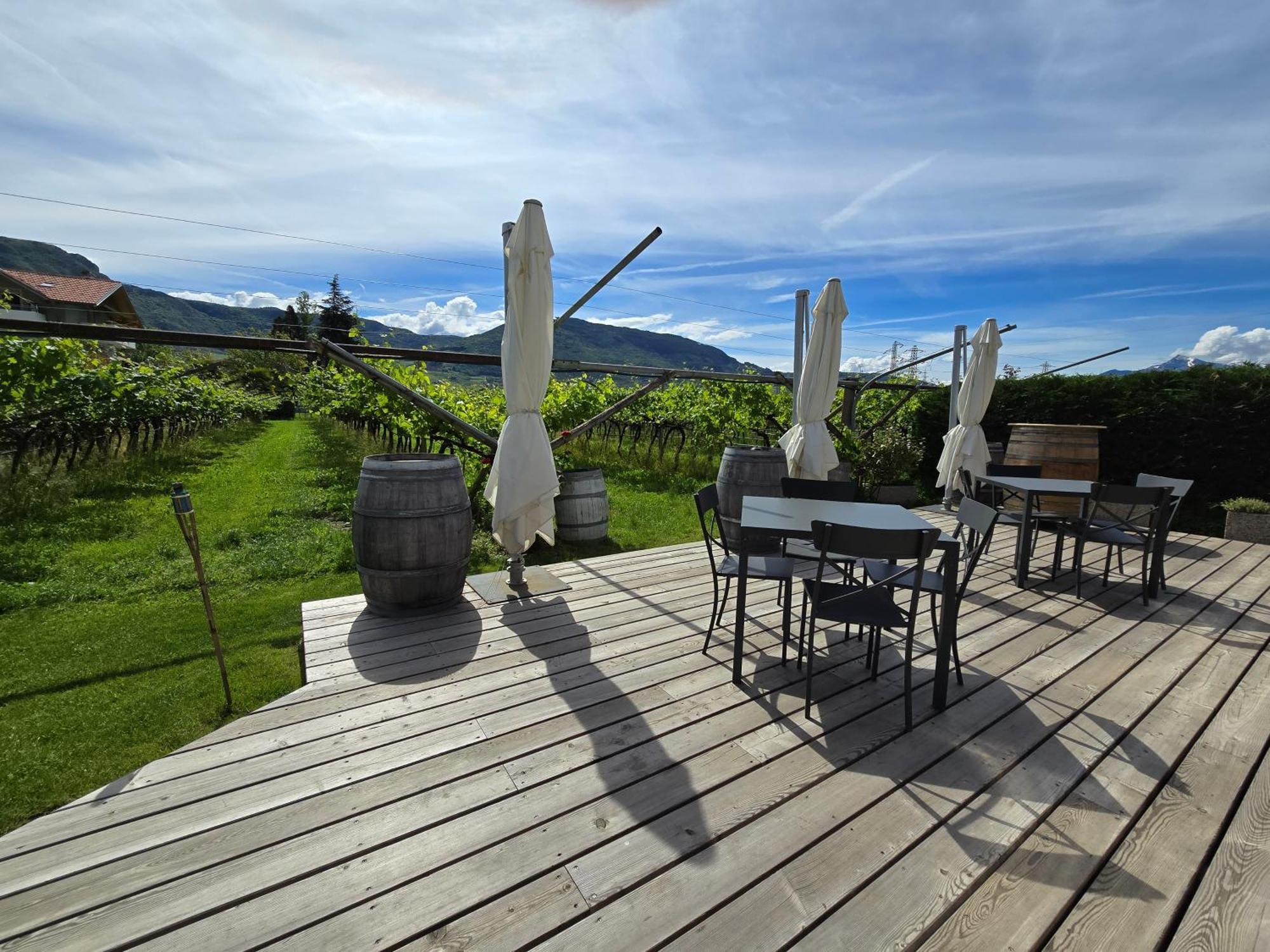 Antico Fienile Agritur Villa Mezzocorona Dış mekan fotoğraf