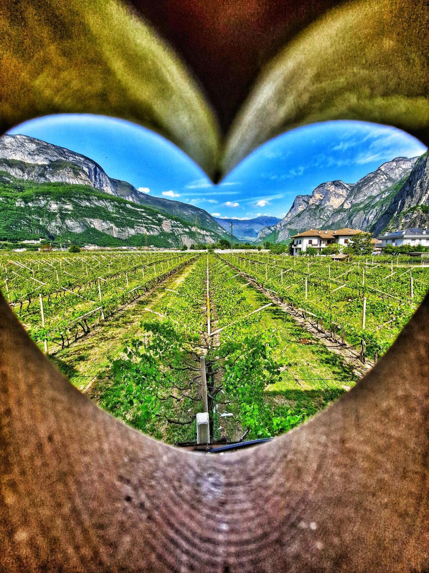 Antico Fienile Agritur Villa Mezzocorona Dış mekan fotoğraf