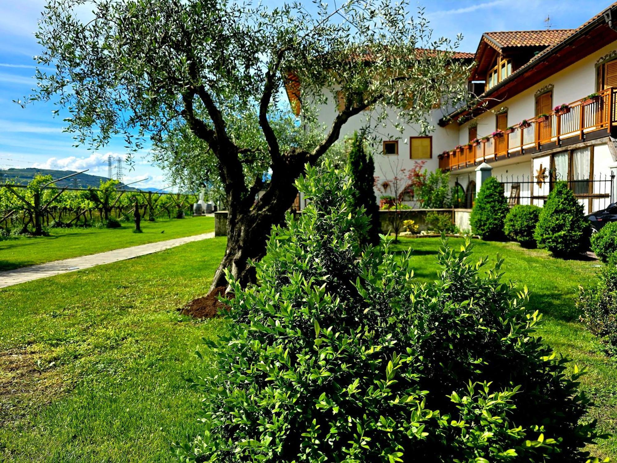 Antico Fienile Agritur Villa Mezzocorona Dış mekan fotoğraf
